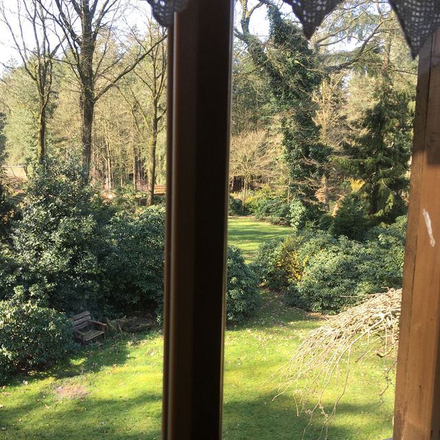 Waldgasthof Röckers Ferienwohnung 2