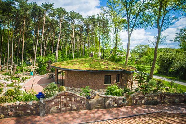 Waldgasthof Röckers Ferienhaus Immergrün